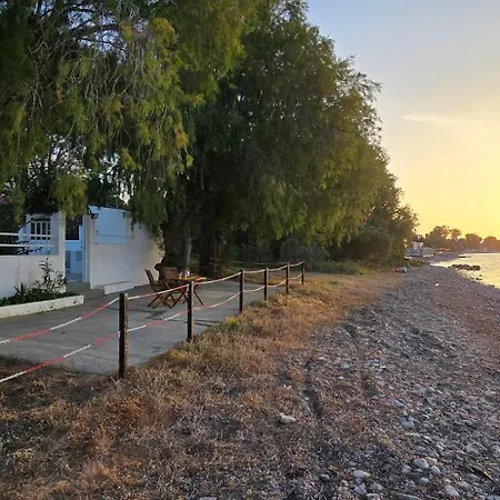 펜션 Eva's Beachfront House 코스 타운